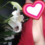 ヒメ日記 2026/02/18 12:39 投稿 ぼたん 東大阪人妻援護会