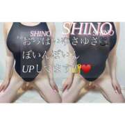 ヒメ日記 2025/04/09 19:24 投稿 Shino THE MUSE