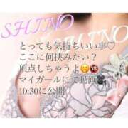 ヒメ日記 2025/04/22 09:44 投稿 Shino THE MUSE