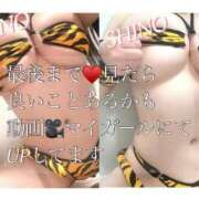 ヒメ日記 2025/04/26 15:04 投稿 Shino THE MUSE