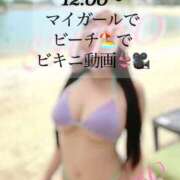 ヒメ日記 2025/04/28 11:20 投稿 Shino THE MUSE