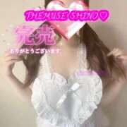 ヒメ日記 2025/04/28 17:05 投稿 Shino THE MUSE