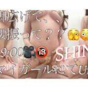 ヒメ日記 2025/05/04 17:05 投稿 Shino THE MUSE