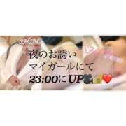 ヒメ日記 2025/05/09 22:54 投稿 Shino THE MUSE