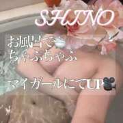 ヒメ日記 2025/05/17 03:24 投稿 Shino THE MUSE