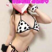 ヒメ日記 2025/05/31 08:34 投稿 Shino THE MUSE