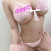 ヒメ日記 2025/06/04 08:24 投稿 Shino THE MUSE