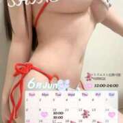 ヒメ日記 2025/06/06 16:54 投稿 Shino THE MUSE