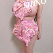 ヒメ日記 2025/08/12 11:44 投稿 Shino THE MUSE