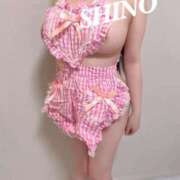 ヒメ日記 2025/10/21 13:20 投稿 Shino THE MUSE