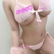 ヒメ日記 2025/11/12 18:59 投稿 Shino THE MUSE