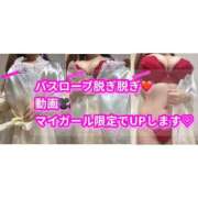 ヒメ日記 2025/12/23 16:54 投稿 Shino THE MUSE