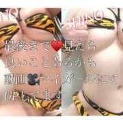 Shino ぽよよん🧡🖤 THE MUSE