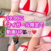 ヒメ日記 2026/01/28 17:54 投稿 Shino THE MUSE