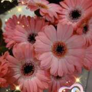 ヒメ日記 2025/01/12 05:15 投稿 せりな 熟女の風俗最終章 所沢店