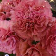 ヒメ日記 2025/01/12 05:23 投稿 せりな 熟女の風俗最終章 所沢店