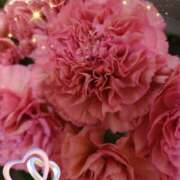 ヒメ日記 2025/01/16 06:03 投稿 せりな 熟女の風俗最終章 所沢店