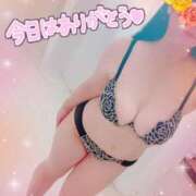 ヒメ日記 2025/02/20 00:52 投稿 ききょう 浜松人妻なでしこ(カサブランカグループ)