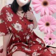 ヒメ日記 2025/07/14 20:46 投稿 ききょう 浜松人妻なでしこ(カサブランカグループ)