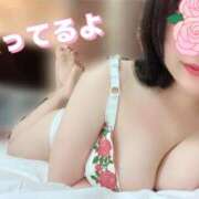 ヒメ日記 2026/03/13 15:40 投稿 ききょう 浜松人妻なでしこ(カサブランカグループ)