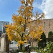 ヒメ日記 2025/12/15 17:45 投稿 はつの 激安ドットコム