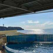 ヒメ日記 2026/02/07 17:36 投稿 はつの 激安ドットコム