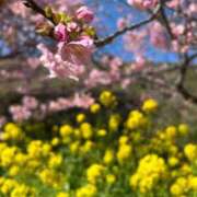 ヒメ日記 2026/02/21 19:51 投稿 はつの 激安ドットコム