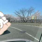 ヒメ日記 2025/04/08 14:35 投稿 きこ 千姫(道後)