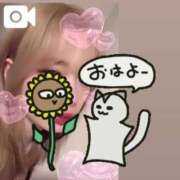 ヒメ日記 2025/04/17 05:32 投稿 ひまわり にゃんだ☆full☆MIX（にゃんだふるみっくす）