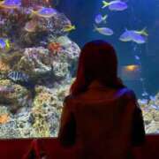 ヒメ日記 2025/12/28 17:39 投稿 まみ 船橋ときめき女学園