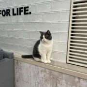 ヒメ日記 2025/11/28 10:49 投稿 あいか 激安ドットコム