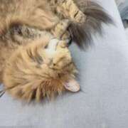 ヒメ日記 2025/12/12 14:55 投稿 あいか 激安ドットコム