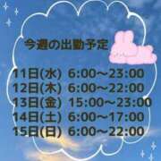 ヒメ日記 2023/10/09 19:45 投稿 杏 かずき 完全未経験大学1年生 ファーストクラス ルビー