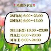 ヒメ日記 2024/02/24 18:05 投稿 杏 かずき 完全未経験大学1年生 ファーストクラス ルビー