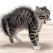 みなと お休みばかりでごめんなさい～＞＜ ぷよラブ れぼりゅ～しょん