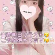 さき 【必読】明日で最終日😿ご予約受付中♥️ ドンファン