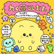 さき さきです🤍 ドンファン