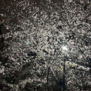 ヒメ日記 2025/04/03 15:49 投稿 みゆき 性腺熟女100％（デリヘル市場）