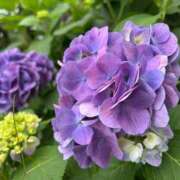 ヒメ日記 2025/06/20 06:35 投稿 みゆき 性腺熟女100％（デリヘル市場）