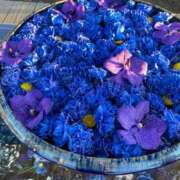 ヒメ日記 2025/08/03 14:00 投稿 みゆき 性腺熟女100％（デリヘル市場）