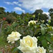 ヒメ日記 2025/10/18 10:45 投稿 みゆき 性腺熟女100％（デリヘル市場）