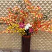 ヒメ日記 2025/12/09 23:05 投稿 みゆき 性腺熟女100％（デリヘル市場）