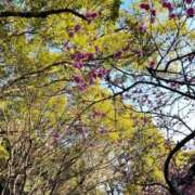 ヒメ日記 2025/02/23 07:00 投稿 羽生なのは 川崎小町（川崎ハレ系）