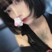 ヒメ日記 2025/03/31 19:26 投稿 りゅうか ビアガーデンカーニバル