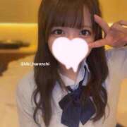 ヒメ日記 2025/04/15 12:42 投稿 きき 晴れんち