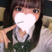 ヒメ日記 2025/06/09 16:42 投稿 きき 晴れんち