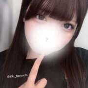 ヒメ日記 2025/06/30 18:03 投稿 きき 晴れんち