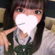 ヒメ日記 2025/07/16 16:02 投稿 きき 晴れんち