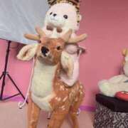 ヒメ日記 2025/01/06 19:04 投稿 あさひ 桃色☆めぃぷるシロップ