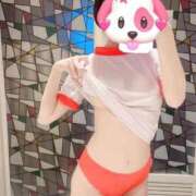 ヒメ日記 2025/05/13 10:25 投稿 あさひ 桃色☆めぃぷるシロップ